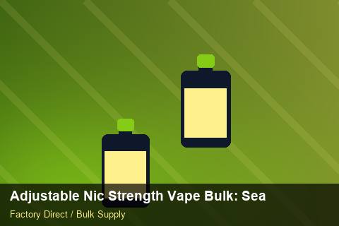 Adjustable Nic Strength Vape Bulk — Adjustable Nic Strength Vape Bulk: Seasonal Planning — Storage Tips photo 1