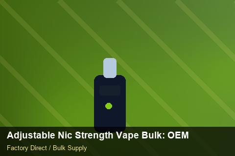 Adjustable Nic Strength Vape Bulk — Adjustable Nic Strength Vape Bulk: OEM & ODM Service — Warranty Terms photo 1