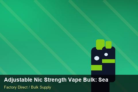 Adjustable Nic Strength Vape Bulk — Adjustable Nic Strength Vape Bulk: Seasonal Planning — Warranty Terms photo 2