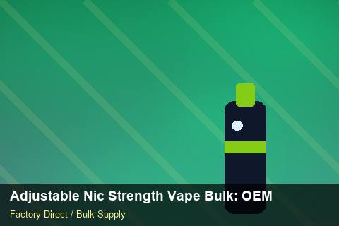 Adjustable Nic Strength Vape Bulk — Adjustable Nic Strength Vape Bulk: OEM & ODM Service — Payment Options photo 2