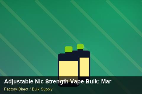 Adjustable Nic Strength Vape Bulk — Adjustable Nic Strength Vape Bulk: Margin Calculator — Payment Options photo 1