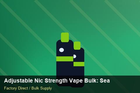 Adjustable Nic Strength Vape Bulk — Adjustable Nic Strength Vape Bulk: Seasonal Planning — Payment Options photo 2