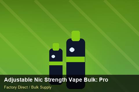 Adjustable Nic Strength Vape Bulk — Adjustable Nic Strength Vape Bulk: Product Launch Playbook — Payment Options photo 2