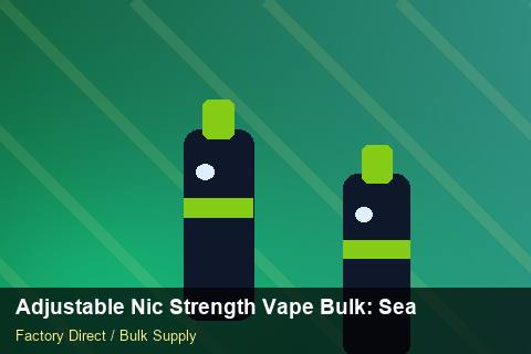 Adjustable Nic Strength Vape Bulk — Adjustable Nic Strength Vape Bulk: Seasonal Planning — IP Protection photo 2