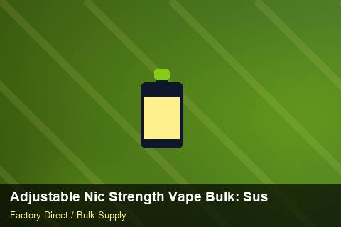 Adjustable Nic Strength Vape Bulk — Adjustable Nic Strength Vape Bulk: Sustainability — Factory Audit photo 1