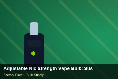 Adjustable Nic Strength Vape Bulk — Adjustable Nic Strength Vape Bulk: Sustainability — Factory Audit photo 2
