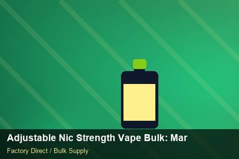 Adjustable Nic Strength Vape Bulk — Adjustable Nic Strength Vape Bulk: Margin Calculator — Factory Audit photo 1