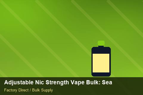 Adjustable Nic Strength Vape Bulk — Adjustable Nic Strength Vape Bulk: Seasonal Planning — Factory Audit photo 1