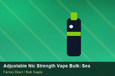 Adjustable Nic Strength Vape Bulk — Adjustable Nic Strength Vape Bulk: Seasonal Planning — Factory Audit photo 2