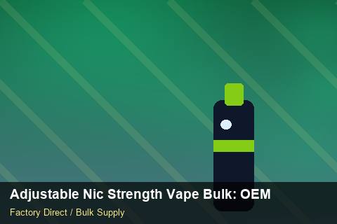 Adjustable Nic Strength Vape Bulk — Adjustable Nic Strength Vape Bulk: OEM & ODM Service — Sample Testing photo 2
