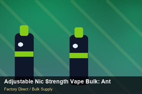 Adjustable Nic Strength Vape Bulk — Adjustable Nic Strength Vape Bulk: Anti-Counterfeit Measures — Defect Handling photo 2