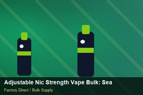 Adjustable Nic Strength Vape Bulk — Adjustable Nic Strength Vape Bulk: Seasonal Planning — Defect Handling photo 2