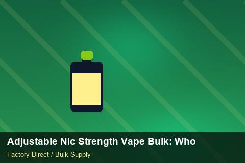 Adjustable Nic Strength Vape Bulk — Adjustable Nic Strength Vape Bulk: Wholesale Price — Replacement Policy photo 2