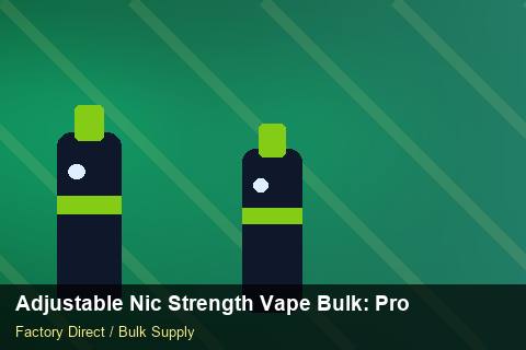Adjustable Nic Strength Vape Bulk — Adjustable Nic Strength Vape Bulk: Procurement Strategy — Seasonal Demand photo 2