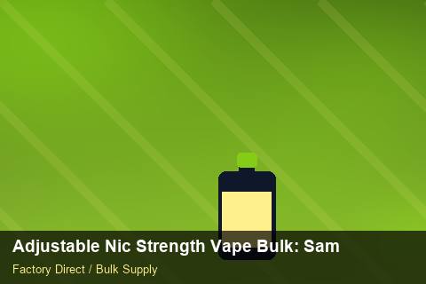 Adjustable Nic Strength Vape Bulk — Adjustable Nic Strength Vape Bulk: Sample Policy — Seasonal Demand photo 2