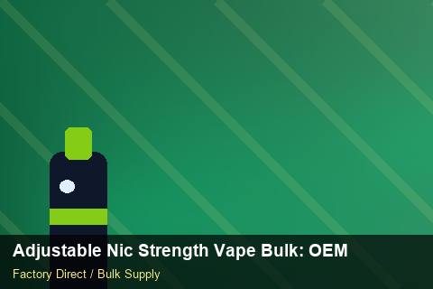 Adjustable Nic Strength Vape Bulk — Adjustable Nic Strength Vape Bulk: OEM & ODM Service — Seasonal Demand photo 2