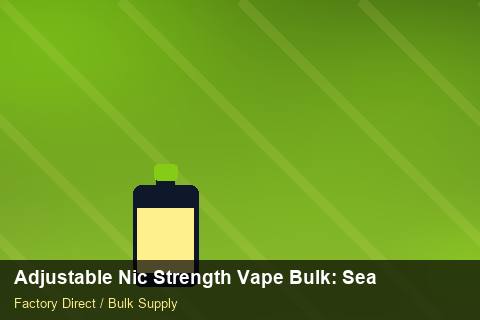 Adjustable Nic Strength Vape Bulk — Adjustable Nic Strength Vape Bulk: Seasonal Planning — Seasonal Demand photo 1
