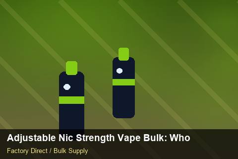 Adjustable Nic Strength Vape Bulk — Adjustable Nic Strength Vape Bulk: Wholesale Price — Holiday Bundles photo 1