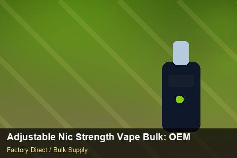 Adjustable Nic Strength Vape Bulk — Adjustable Nic Strength Vape Bulk: OEM & ODM Service — Holiday Bundles photo 1