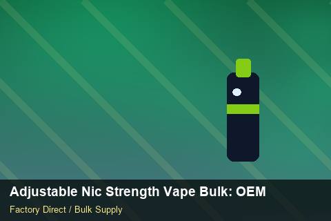 Adjustable Nic Strength Vape Bulk — Adjustable Nic Strength Vape Bulk: OEM & ODM Service — Holiday Bundles photo 2