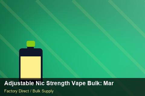 Adjustable Nic Strength Vape Bulk — Adjustable Nic Strength Vape Bulk: Market Trends 2026 — Holiday Bundles photo 1