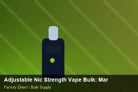 Adjustable Nic Strength Vape Bulk — Adjustable Nic Strength Vape Bulk: Market Trends 2026 — Holiday Bundles photo 2