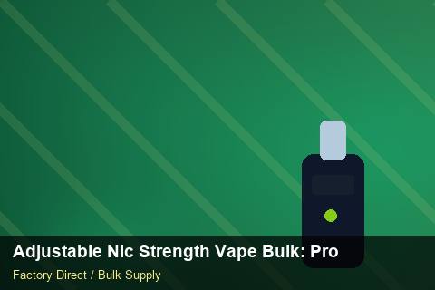 Adjustable Nic Strength Vape Bulk — Adjustable Nic Strength Vape Bulk: Procurement Checklist — Holiday Bundles photo 2