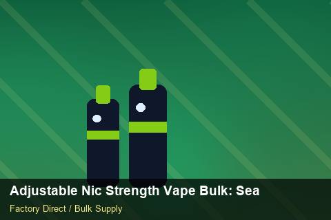 Adjustable Nic Strength Vape Bulk — Adjustable Nic Strength Vape Bulk: Seasonal Planning — Holiday Bundles photo 2