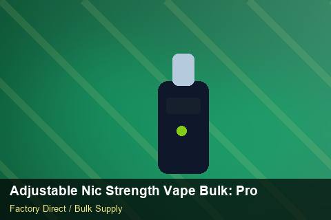 Adjustable Nic Strength Vape Bulk — Adjustable Nic Strength Vape Bulk: Product Launch Playbook — Holiday Bundles photo 1