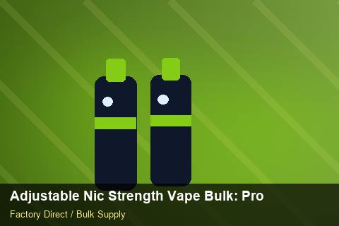 Adjustable Nic Strength Vape Bulk — Adjustable Nic Strength Vape Bulk: Product Launch Playbook — Holiday Bundles photo 2