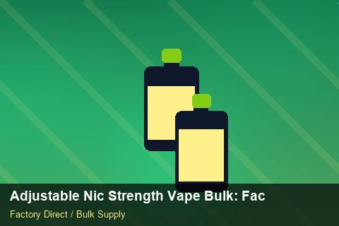 Adjustable Nic Strength Vape Bulk — Adjustable Nic Strength Vape Bulk: Factory Direct Quote — Summer Range photo 1