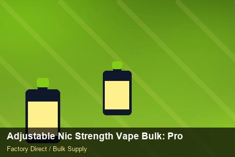 Adjustable Nic Strength Vape Bulk — Adjustable Nic Strength Vape Bulk: Procurement Strategy — Summer Range photo 1
