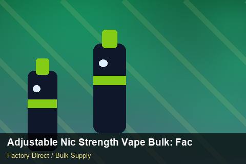 Adjustable Nic Strength Vape Bulk — Adjustable Nic Strength Vape Bulk: Factory Audit Report — Summer Range photo 2