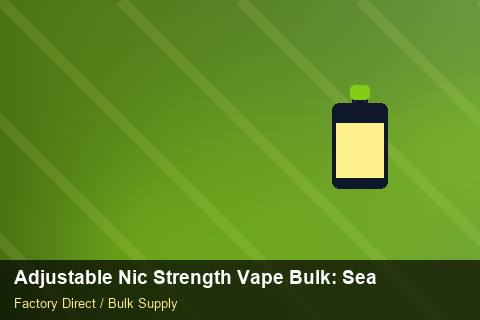 Adjustable Nic Strength Vape Bulk — Adjustable Nic Strength Vape Bulk: Seasonal Planning — Summer Range photo 1