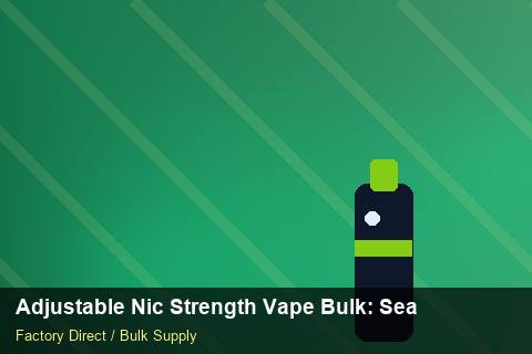Adjustable Nic Strength Vape Bulk — Adjustable Nic Strength Vape Bulk: Seasonal Planning — Summer Range photo 2