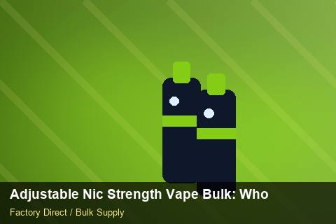 Adjustable Nic Strength Vape Bulk — Adjustable Nic Strength Vape Bulk: Wholesale Price — Winter Range photo 1