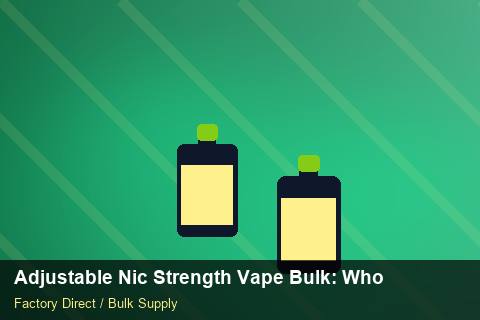 Adjustable Nic Strength Vape Bulk — Adjustable Nic Strength Vape Bulk: Wholesale Price — Winter Range photo 2