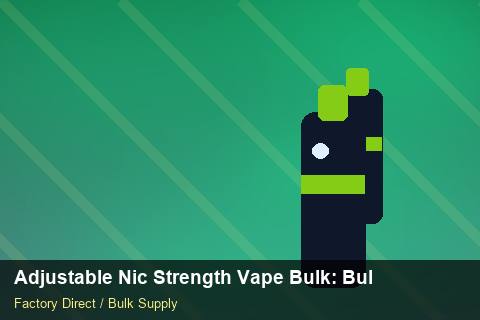 Adjustable Nic Strength Vape Bulk — Adjustable Nic Strength Vape Bulk: Bulk Supplier Guide — Winter Range photo 1