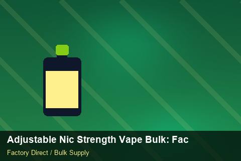 Adjustable Nic Strength Vape Bulk — Adjustable Nic Strength Vape Bulk: Factory Direct Quote — Winter Range photo 1