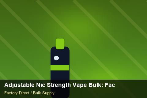 Adjustable Nic Strength Vape Bulk — Adjustable Nic Strength Vape Bulk: Factory Direct Quote — Winter Range photo 2