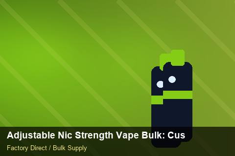 Adjustable Nic Strength Vape Bulk — Adjustable Nic Strength Vape Bulk: Customs Documentation — Winter Range photo 1