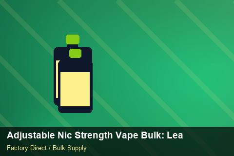 Adjustable Nic Strength Vape Bulk — Adjustable Nic Strength Vape Bulk: Lead Time & MOQ — Winter Range photo 1