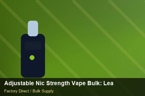 Adjustable Nic Strength Vape Bulk — Adjustable Nic Strength Vape Bulk: Lead Time & MOQ — Winter Range photo 2