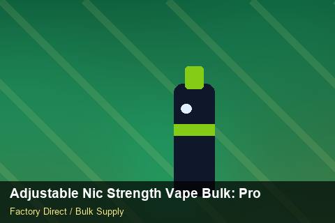 Adjustable Nic Strength Vape Bulk — Adjustable Nic Strength Vape Bulk: Procurement Strategy — Winter Range photo 2