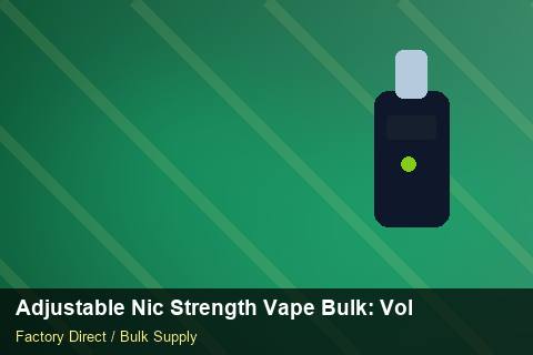 Adjustable Nic Strength Vape Bulk — Adjustable Nic Strength Vape Bulk: Volume Pricing Tiers — Winter Range photo 1