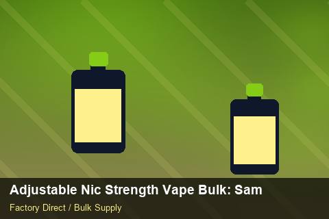 Adjustable Nic Strength Vape Bulk — Adjustable Nic Strength Vape Bulk: Sample Policy — Winter Range photo 2