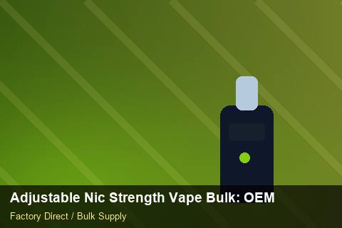 Adjustable Nic Strength Vape Bulk — Adjustable Nic Strength Vape Bulk: OEM & ODM Service — Winter Range photo 1