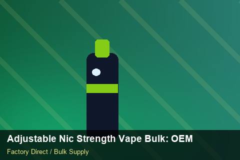 Adjustable Nic Strength Vape Bulk — Adjustable Nic Strength Vape Bulk: OEM & ODM Service — Winter Range photo 2