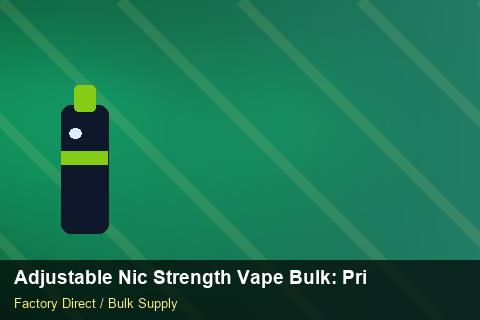 Adjustable Nic Strength Vape Bulk — Adjustable Nic Strength Vape Bulk: Private Label Options — Winter Range photo 1
