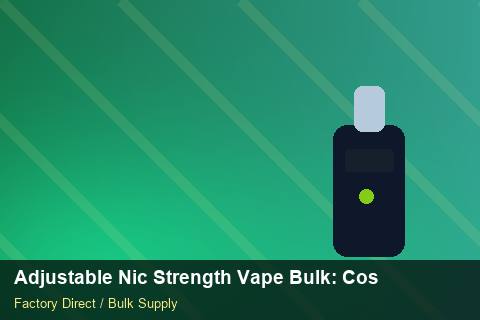 Adjustable Nic Strength Vape Bulk — Adjustable Nic Strength Vape Bulk: Cost Breakdown — Winter Range photo 1
